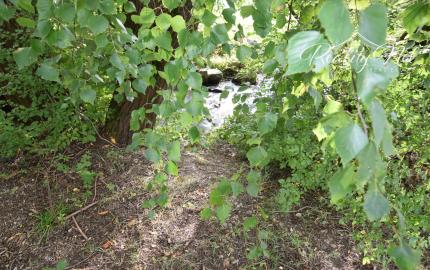 Úžasný stavebný pozemok v Príbovciach, možnosť výmeny za byt.