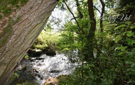 Úžasný stavebný pozemok v Príbovciach, možnosť výmeny za byt.