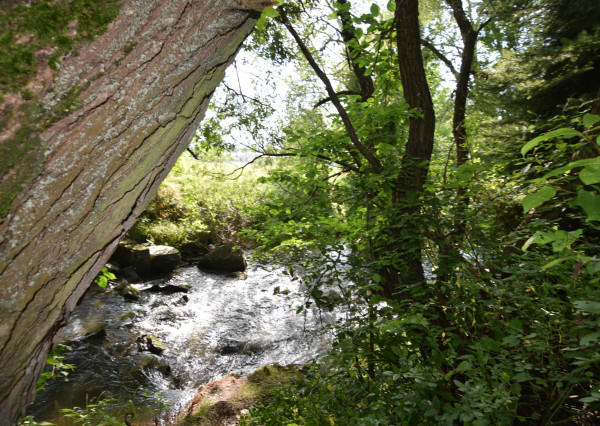 Úžasný stavebný pozemok v Príbovciach, možnosť výmeny za byt.