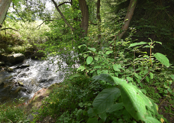 Úžasný stavebný pozemok v Príbovciach, možnosť výmeny za byt.