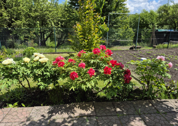 REZERVOVANÉ-Predaj 2 izbový rodinný dom  V Martine