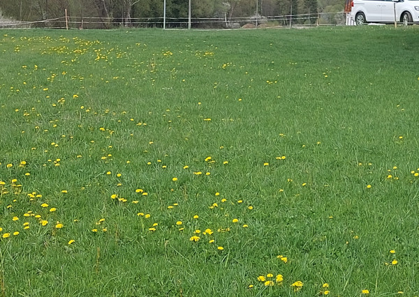 Predaj 2 stavebných pozemkov za sebou v obci Valča- výborná investícia pri lyžiarskom stredisku.