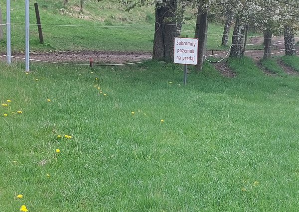 Predaj 2 stavebných pozemkov za sebou v obci Valča- výborná investícia pri lyžiarskom stredisku.