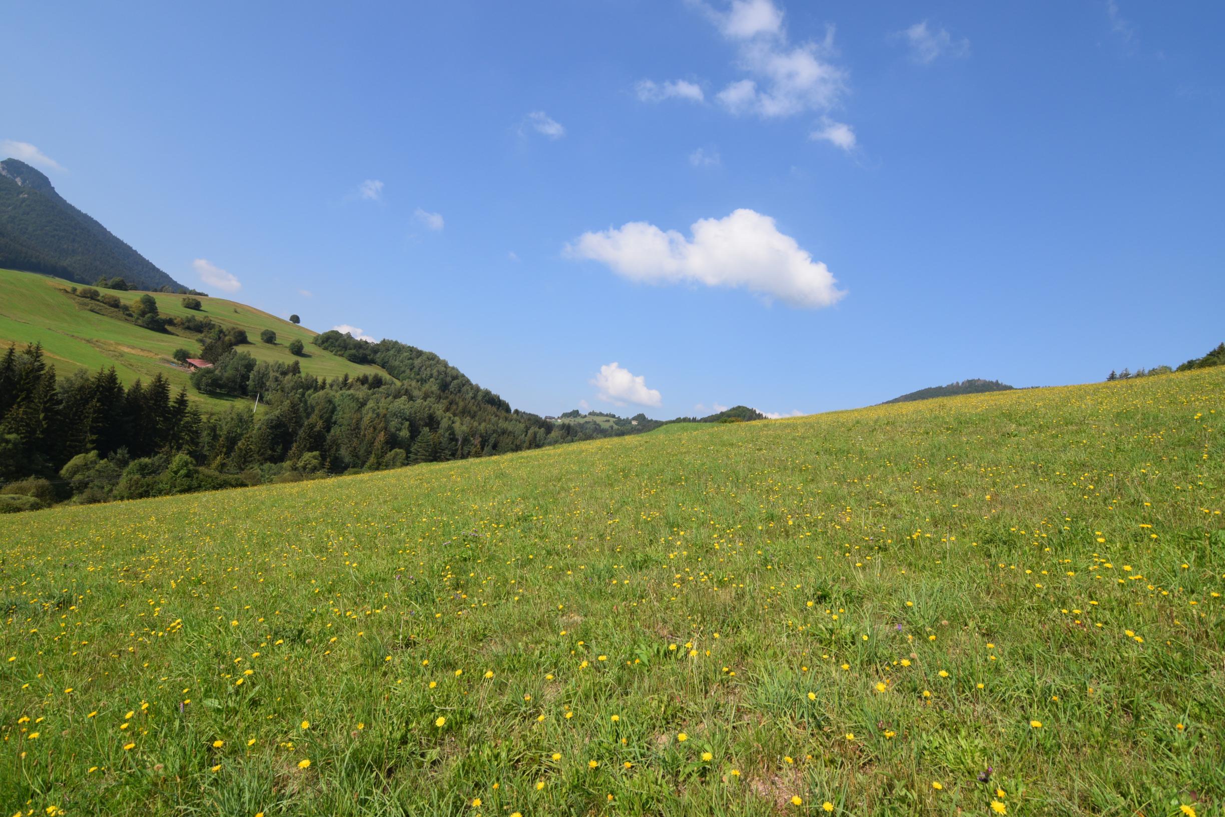 Predaj pozemku v Slovenskom Pravne